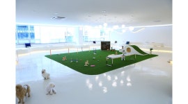 멍캐슬 : 멍캐슬 애견유치원/애견호텔/애견카페 나주혁신점 알바 모집... 나주시 / 멍캐슬 / 멍캐슬 애견유치원/애견호텔/애견카페 나주혁신점... 