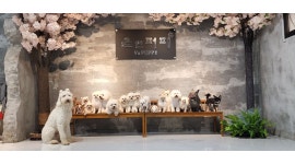 윤앤퍼피 : 윤앤퍼피 애견호텔유치원 매장관리 및 훈련 - 알바천국... 서울 전체 / 윤앤퍼피 / 윤앤퍼피 애견호텔유치원 매장관리 및  훈련 / 9,620원