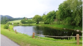 (주)서윤푸드안성w점 : 안성w 골프장 홀써빙 장기/단기 알바,정직원 채용(신입 3,000만원 이상) - 알바천국 [알바천국] 경기 안성시 / (주)... 