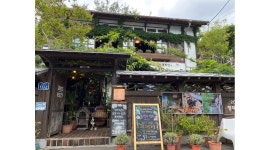 까멜리아인구룡포 : 까멜리아인구룡포 카페 에서 주말 알바 모집... 남구 / 까멜리아인구룡포 / 까멜리아인구룡포 카페 에서 주말  알바 모집... 