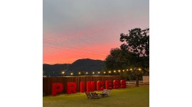 프린세스피크닉카페 : 프린세스피크닉카페에서 바리스타를 모집합니다 - 알바천국 [알바천국] 충남 공주시 / 프린세스피크닉카페... 