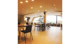 달의 정원 : 브런치 주방보조.브런치보조 - 알바천국 [알바천국] 경기 하남시 / 달의 정원 / 브런치 주방보조.브런치보조 / 10,000원