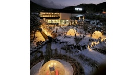 내음685 베이커리 카페 : 내음685 베이커리카페에서 같이성장할 인재 찾습니다 - 알바천국 [알바천국]경기 남양주시 / 내음685 베이커리... 