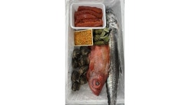 토니수산 : 토니수산 1톤배송기사 , 가공사원(일식조리경력자) - 알바천국 [알바천국]부산 사하구 / 토니수산 / 토니수산 1톤배송기사... 