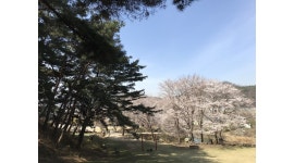 당림미술관 : 당림미술관 어린이 미술교육 보조강사 모집 - 알바천국... 아산시 / 당림미술관 / 당림미술관 어린이 미술교육 보조강사 모집 / 2... 