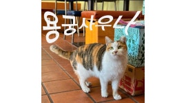 용궁사우나 : 강문해변 평일저녁(월/수/목/금)알바 구함 - 알바천국... 강릉시 / 용궁사우나 / 강문해변 평일저녁(월/수/목/금)알바 구함 / 12,500원