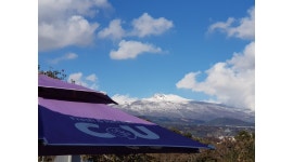 CU 서귀외돌개점 채용정보 : CU삼매봉도서관옆 목,금 13~18시 스태프 구해요 - 알바천국