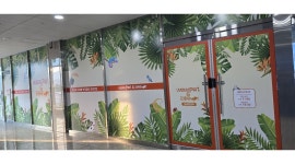 와우펫앤쥬 양산점 채용정보 : 파충류&소동물 분양 와우펫앤쥬 양산점 - 알바천국