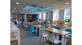 (주)바운스 채용정보 : [브릭앤아트/샌디스아일랜드] 주 4일 근무 파트너모집 - 알바천국