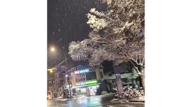 씨유 종로삼청점 채용정보 : CU종로삼청점 주2일( 월.화/수.목요일) 야간 스태프 모집 - 알바천국