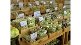 포천로컬푸드(주)농업회사법인 채용정보 : 파트타임) 포천로컬푸드 파머스마켓 지역 농산물 진열 정리 판매하실 분 모집 - 알바천국