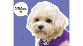 CU 용인마북점 채용정보 : 토일 함께하실 야간스탭 구합니다~ - 알바천국