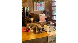 카페커프티 채용정보 : 경상대 후문 카페커프티 아르바이트 구인 - 알바천국