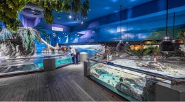 (주)서울오션아쿠아리움 채용정보 : [SEA LIFE COEX, Seoul] 운영크루 모집 (주말-주16시간) - 알바천국