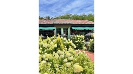 더그린가든 채용정보 : 카페 더그린가든 파트타임 구인 - 알바천국