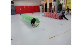 골든킥 태권도 인성교육관 채용정보 : 태권도장 수업보조 및 아이들케어 업무 - 알바천국