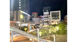 명품세종회관 채용정보 : 신규 오픈 나성동 한우 및 한돈 명품세종회관 직원 모집[실장, 홀, 주방] - 알바천국