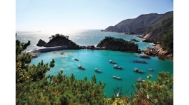 황금나무와 여행친구들 (주) 채용정보 : 황금나무와 여행친구들 (주) 여행사업부-여행상담 및 예약,관리,기획 - 알바천국