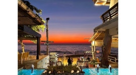 황금나무와 여행친구들 (주) 채용정보 : 황금나무와 여행친구들 (주) 여행사업부-여행상담 및 예약,관리,기획 - 알바천국