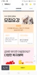 동네알바톡: 반려동물케어 고객센터 - 알바천국