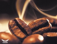 COFFEE GEEKS (커피긱스) : 커피긱스 파트타이머 (마감 - 화, 목) - 알바천국 [알바천국] 부산 연제구 / COFFEE GEEKS (커피긱스) / 커피긱스... 