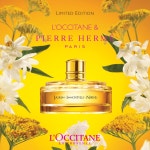 록시땅코리아 - [ 급구 ][롯데구리점/ 롯데분당점/ 롯데건대스타시티점][ 가장 받고싶은 선물 록시땅 신입/ 경력 DT/ 백화점매장직원 ] - 샵마넷