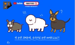 블라인드 | 일산 뉴스