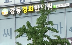 강동경희한의원 위치 · 진료시간 · 후기 확인하기 | 굿닥