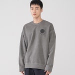 에이랜드 [ICONOGRAPHY] 900G 헤비코튼 피그먼트 엠블럼 볼륨프린트 GR