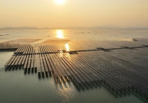 [경제] 中 태양광 제품, A/S 등 앞세워 미얀마서 각광 | 이코노믹데일리