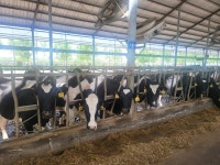 [경제+] 中 산둥 칭다오, 지역 특색 산업 맞춤형 금융으로 농가·기업 활짝 | 이코노믹데일리