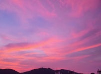 알라딘: 더불어숲