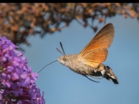 알라딘: 빈이네 서점