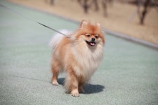 [eng9999님의 서재] : 알라딘