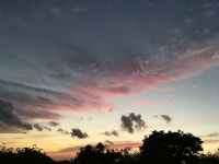 [알라딘서재]내가 정말 읽고싶은 책들 내가 정말 읽고싶은 책들