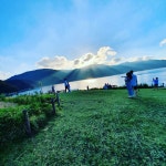 알라딘: 산들책방