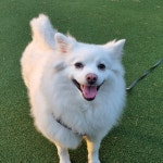 [알라딘서재]국제 정치경제에 대한 뛰어난 통찰력과 친절한 서술