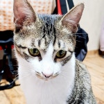 [알라딘서재]북플에 이런 기능이 ?