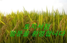 [알라딘] 좋은 책을 고르는 방법, 알라딘!