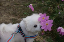 [알라딘서재]부모와 자녀 모두에게 필요한 삶의 지혜 부모와 자녀 모두에게 필요한 삶의 지혜