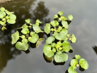 알라딘: 책속에길이있다