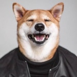 [권대은님의 서재] : 알라딘