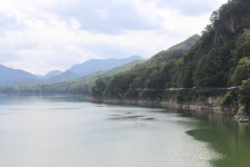 알라딘: 태백상회