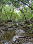 [알라딘서재][100자평] 우리가 함께 듣던 밤 [100자평] 우리가 함께 듣던 밤