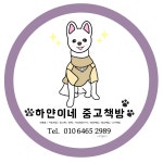 알라딘: 하얀이네