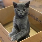 [알라딘서재]2020. 3.21. 지금 읽고 있는책 ˝생각의 비...