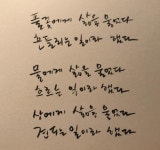 알라딘: 그린비