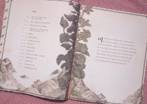 [알라딘서재]높은 산 깊은 바다 높은 산 깊은 바다