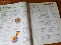 [알라딘서재]중학중학 뉴런 과학 1 중학중학 뉴런 과학 1