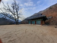 [하루살이] : 알라딘